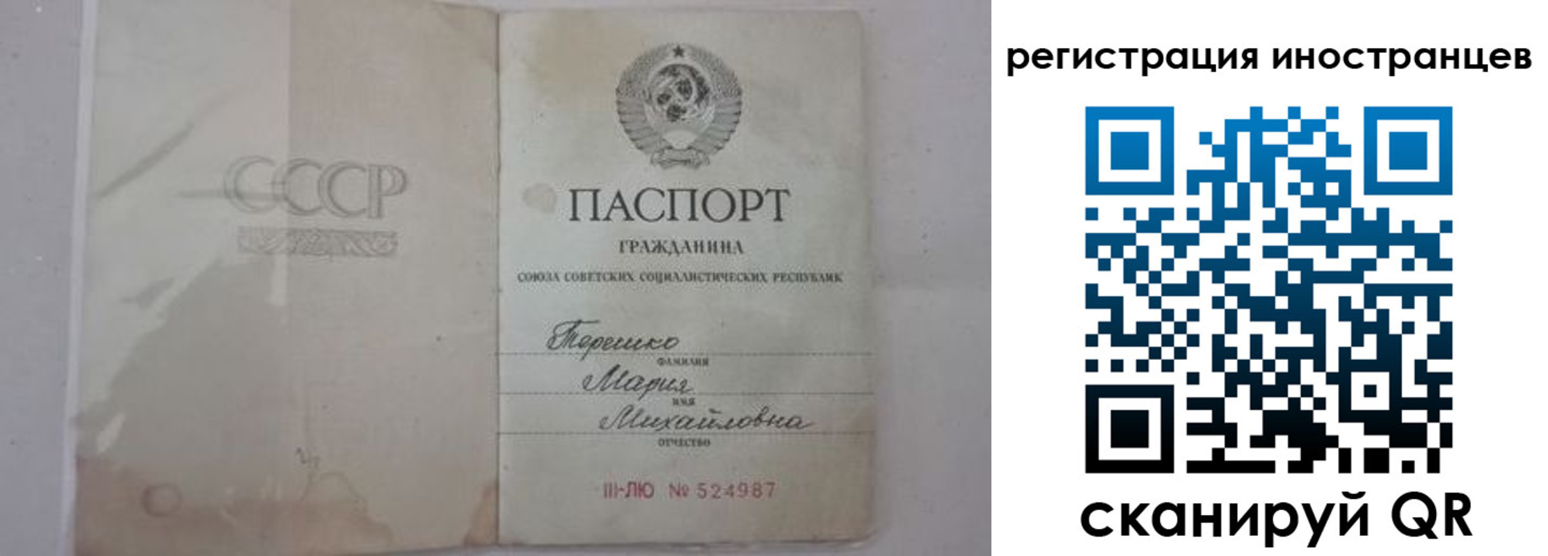 прописка паспорт в Шебекино